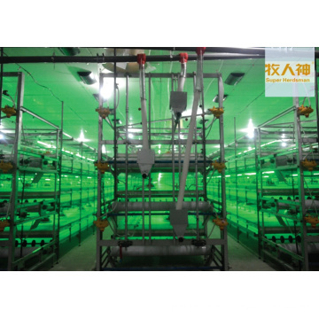 Cage Breeding for Broiler in Poultry House From Super Herdsman